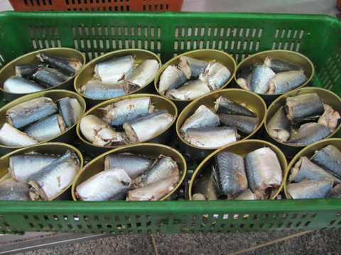 MACKEREL-IN-CANS.jpg