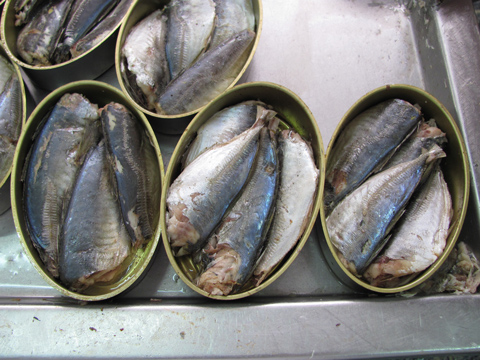 sardine-in-oil-02.jpg