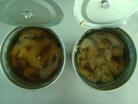 sardine-in-oil.jpg