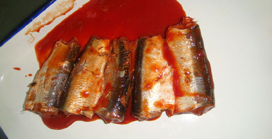 canned-sardine-in-tomato-sauce-2.jpg