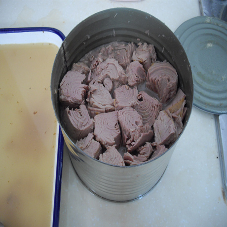 SKIPJACK-TUNA.jpg