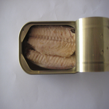 mackerel-fillets-in-tomato-sauce.jpg