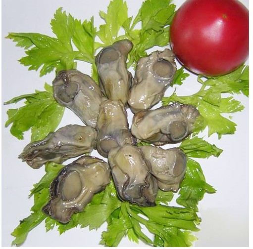 canned boiled oyster.jpg