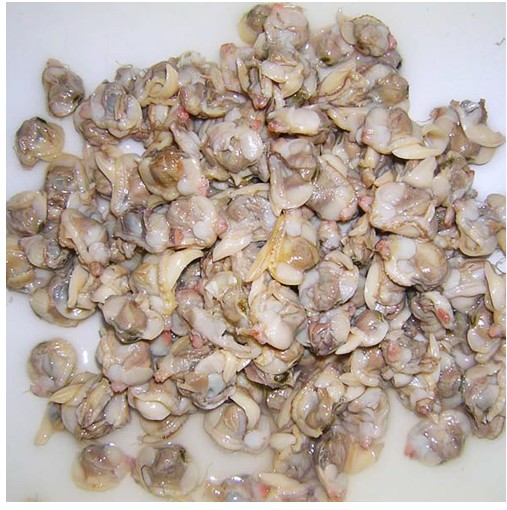 canned boiled clam.jpg