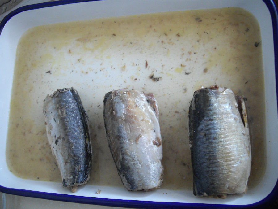 MACKEREL OPEN PHOTO.JPG
